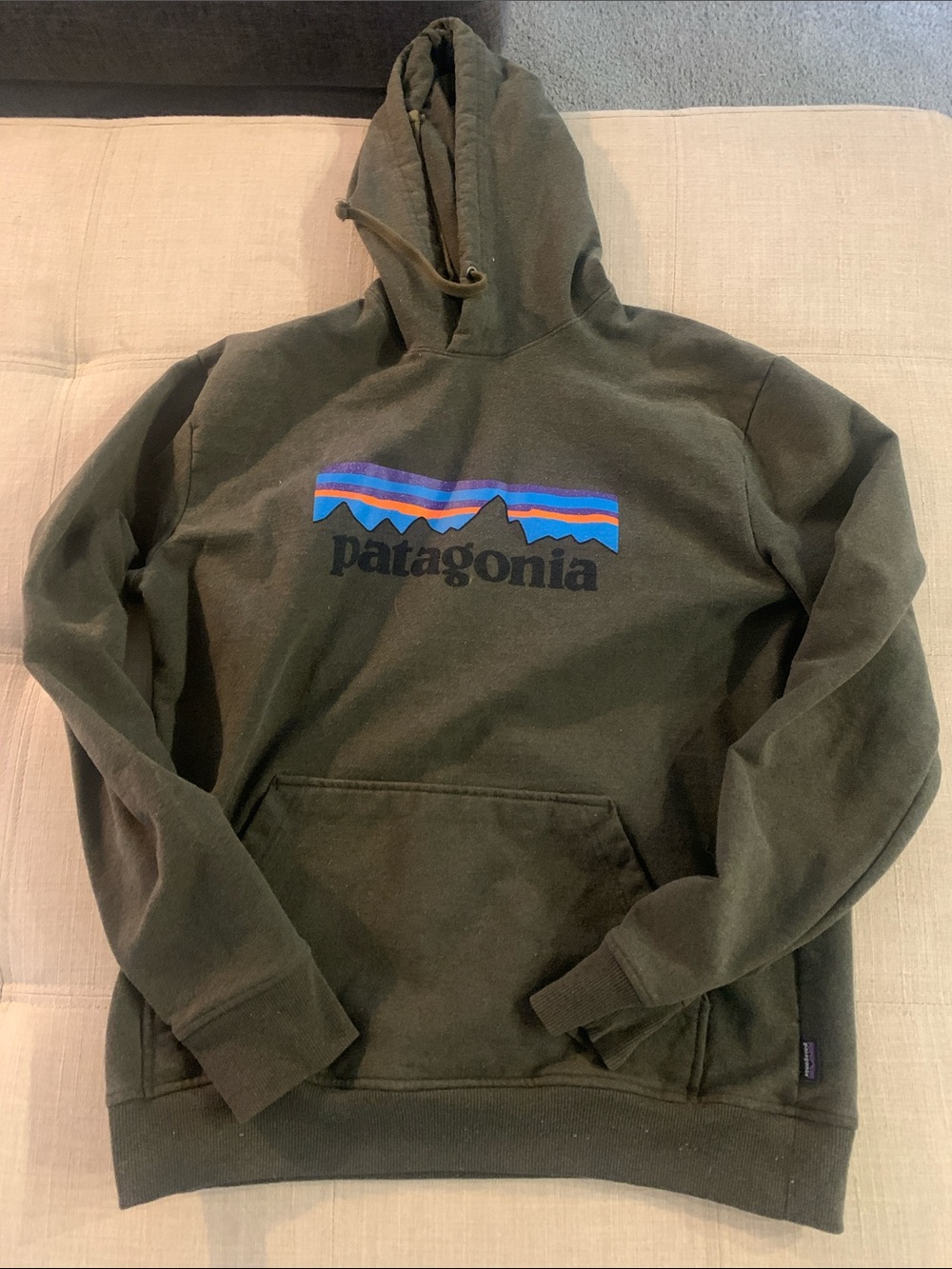 Patagonia Olive Green Hoodie with Multicolor Logo